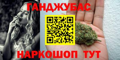 стаф Новодвинск