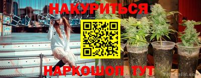 стаф Новодвинск