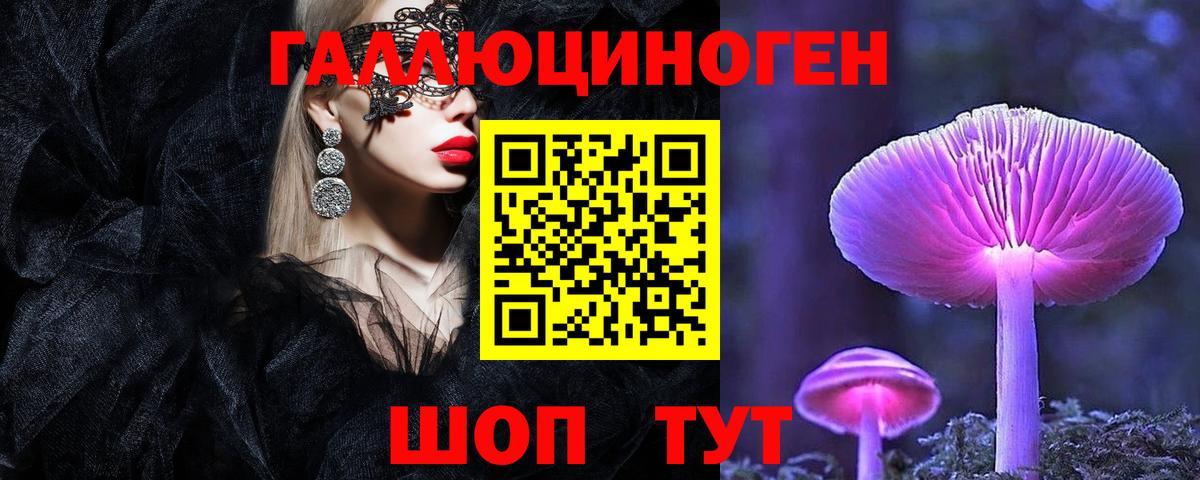 Псилоцибиновые грибы GOLDEN TEACHER  Вход с VPN  Псилоцибиновые грибы Cubensis  Советск 